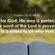 God’s Way Is Perfect